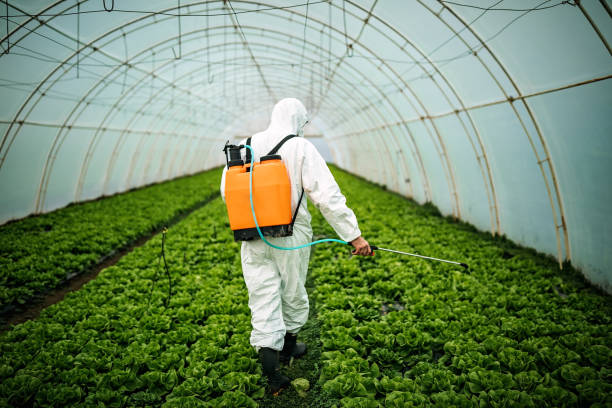 Trusted Mena, AR Pest Control Experts