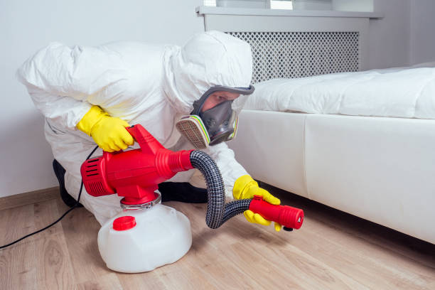 Best Exterminator Services  in Mena, AR