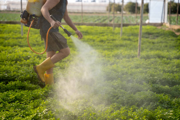 Best Wildlife Control Services  in Mena, AR