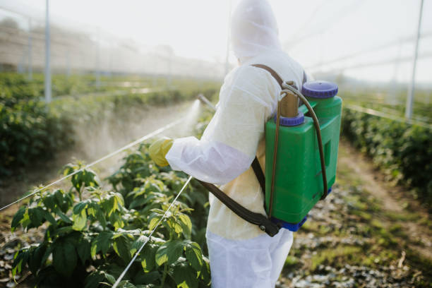 Best Best Pest Control Companies  in Mena, AR